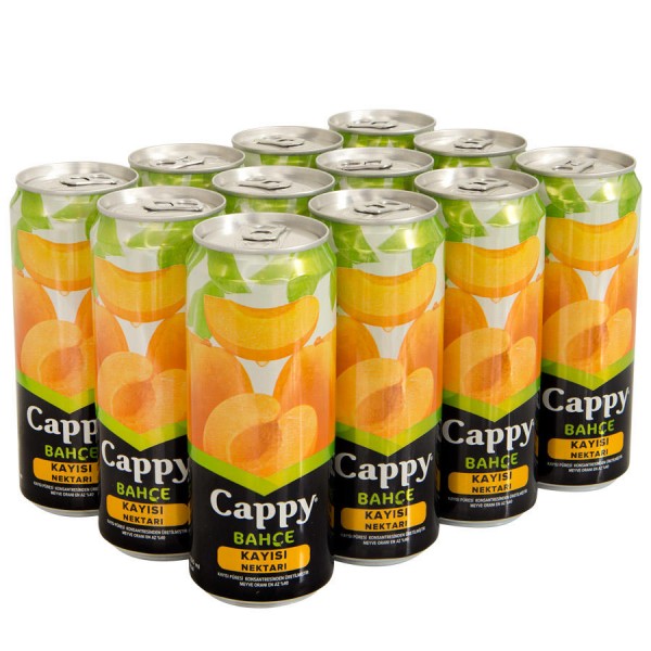 Cappy Meyve Suyu Kayısı Aromalı 250 ml X 12 Adet